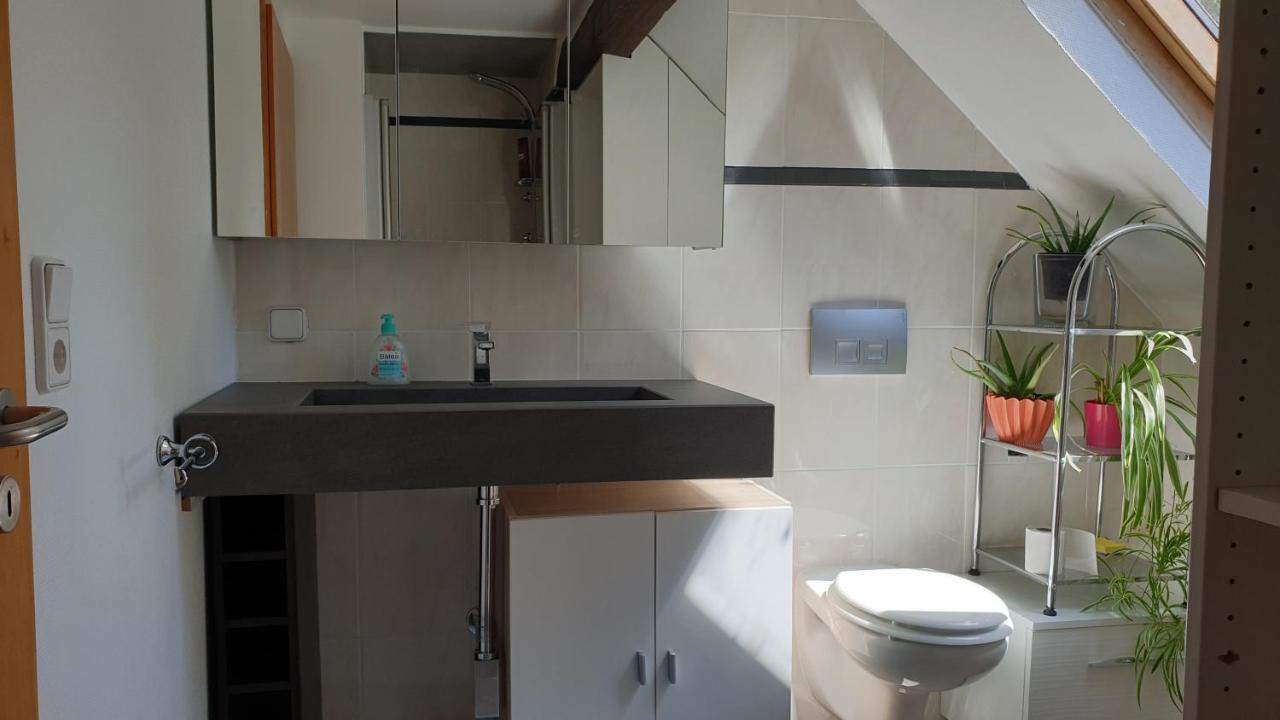 Apartment Gartenblick Neunkirchen  Dış mekan fotoğraf