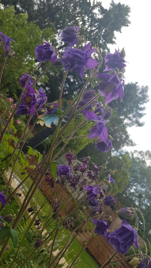 Apartment Gartenblick Neunkirchen  Dış mekan fotoğraf
