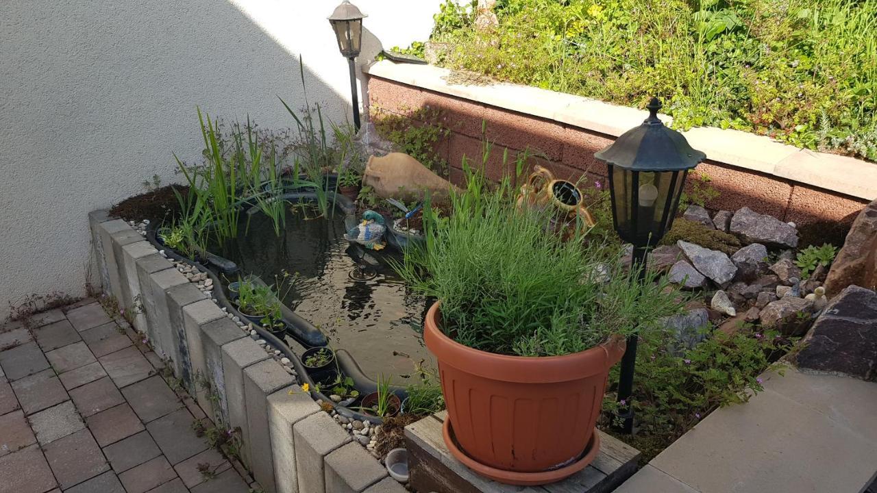 Apartment Gartenblick Neunkirchen  Dış mekan fotoğraf